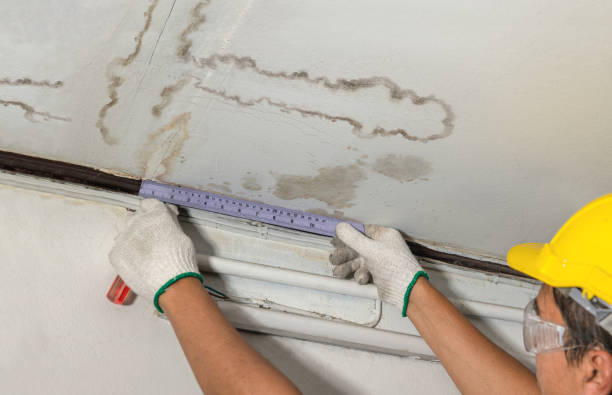 Reliable Burst Pipe Cleanup contractor in Blue Ridge, VA by Local Water Damage Repair